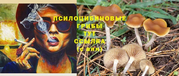 а пвп мука Аркадак